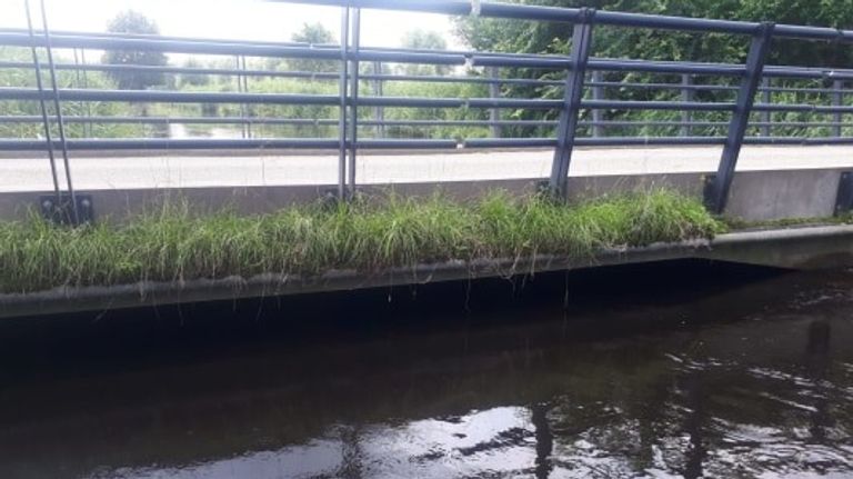  Vaarverbod deel van rivier de Dommel opgeheven (Foto: Waterschap De Dommel).