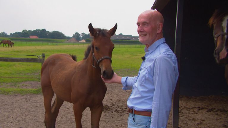 Willie Wijnen met een van zijn veulens.