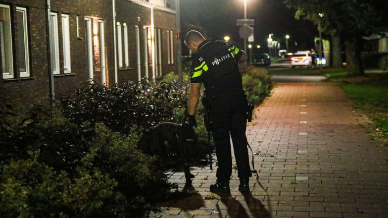 Foto: Harrie Grijseels/SQ Vision