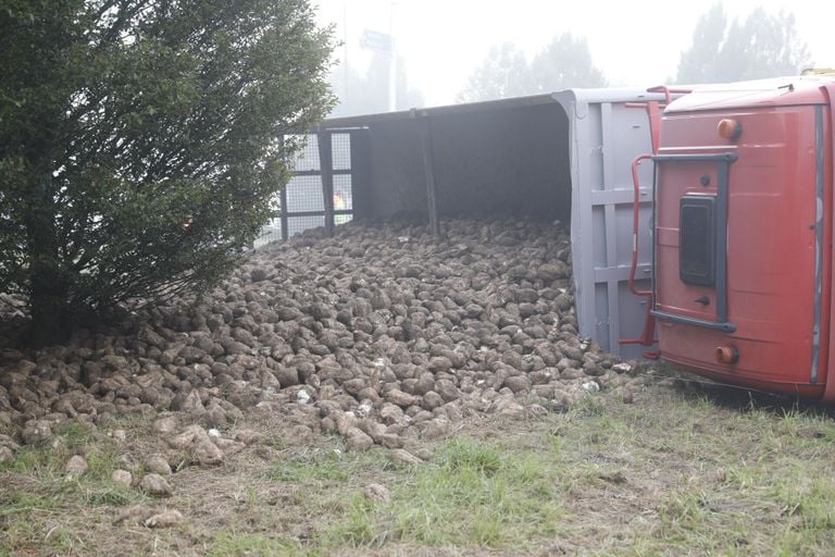 De vrachtwagen die kantelde in Oud Gastel vervoerde suikerbieten (foto: Christian Traets/SQ Vision).