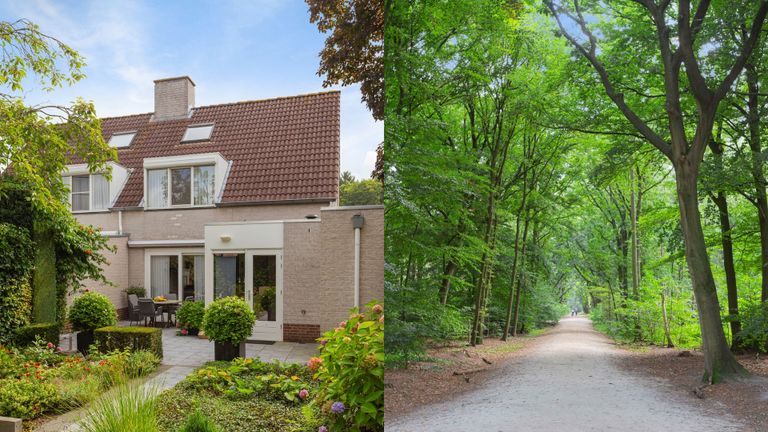 De tuin en het bos dat bijna aan de deur ligt (foto: Staete Waalwijk).