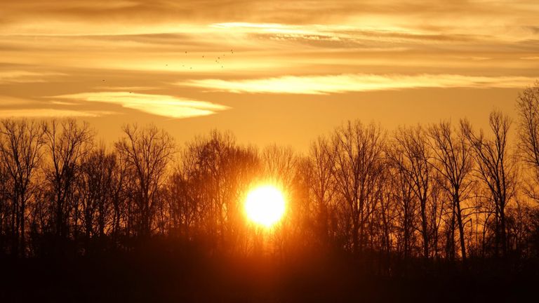 De zonsopkomst in de omgeving van Budel (foto: Ben Saanen).