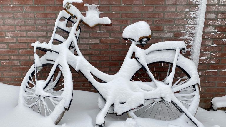 Anders pak je toch gewoon de fiets?(foto:Anita van Gemert)