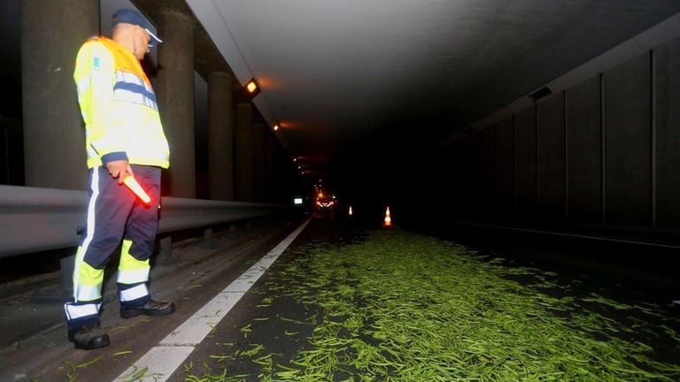 De sperziebonen lagen vlakbij het viaduct bij Vught (foto: Bart Meesters).