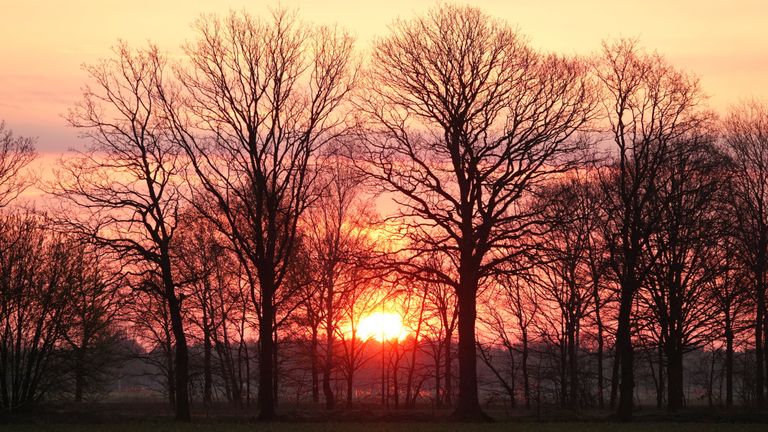 Een momentje om van te genieten in het zuidoosten van Brabant (foto: Ben Saanen).