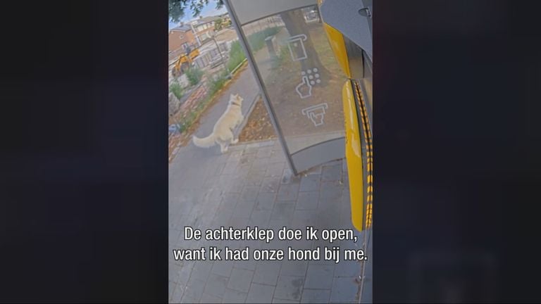 De hond rent achter de berover aan (foto: Bureau Brabant).