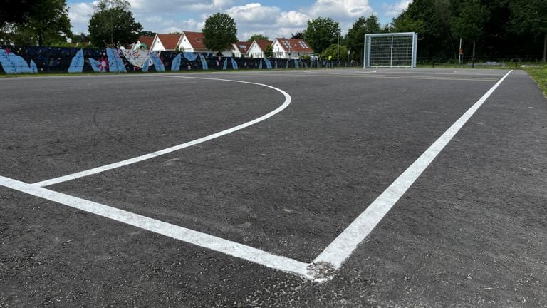 Het vernieuwde veld (foto: Rogier van Son).