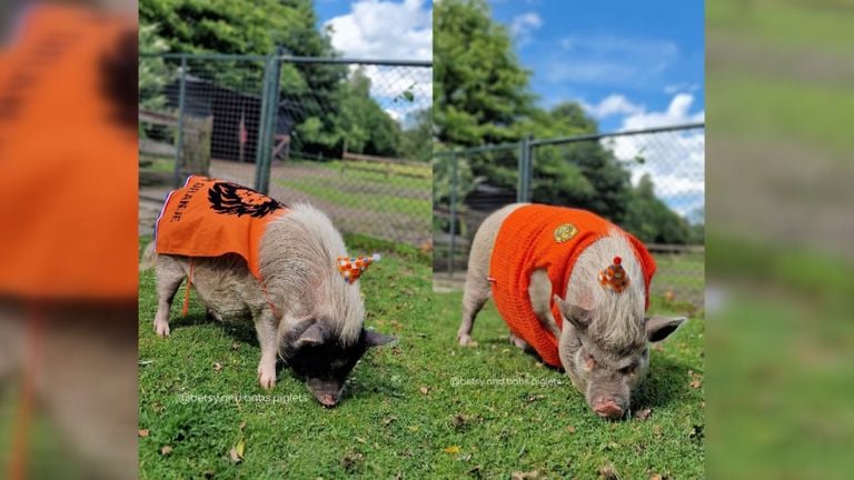 Betsy en Babs zijn er ook klaar voor.