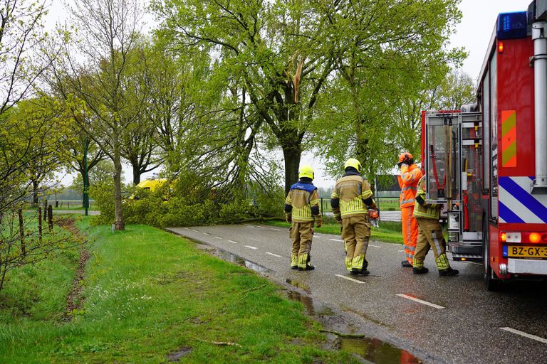 Boom explodeert door blikseminslag: meerdere takken belandden op de weg (foto: Jeroen Stuve/SQ Vision).