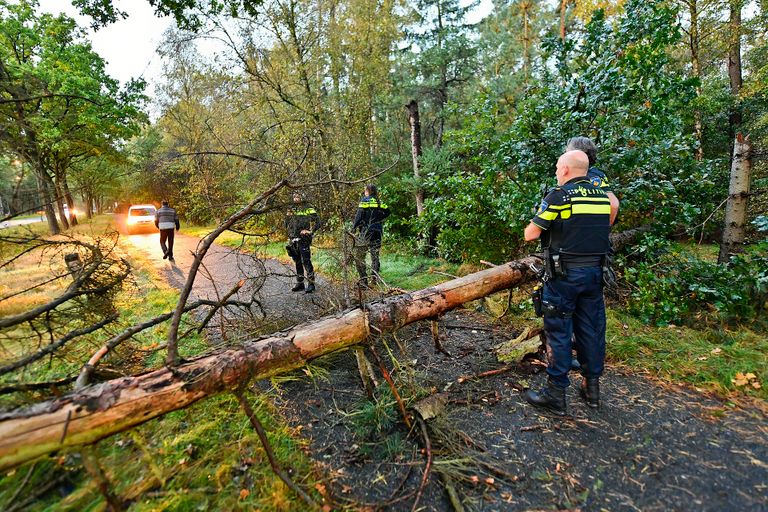 De boom blokkeerde het fietspad naast de Valkenswaardseweg in Waalre volledig (foto: Rico Vogels/SQ Vision).