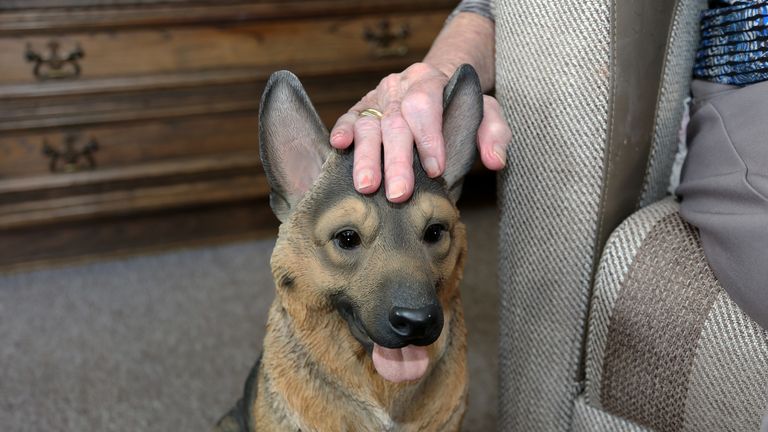 Max geeft een steuntje bij het opstaan. (Foto: Karin Kamp)