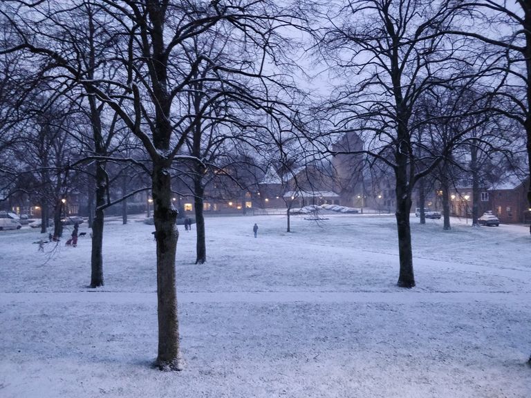 Een betoverend Wilhelminaplein in Kaatsheuvel (foto: Jolanda van der Staak).