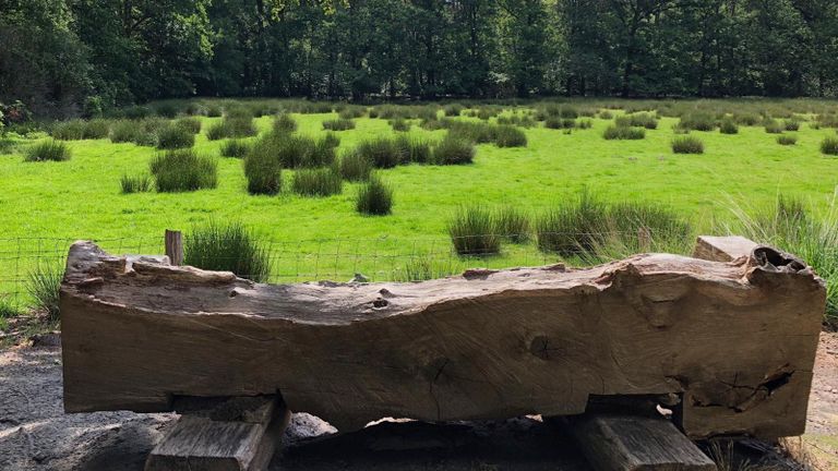 Zo mooi kan Etten-Leur ook zijn (foto: Ria Mol/Toeristisch Informatiepunt Etten-Leur).