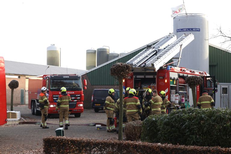 De brandweer op het complex van het melkveebedrijf in Erp (foto: Sander van Gils/SQ Vision).