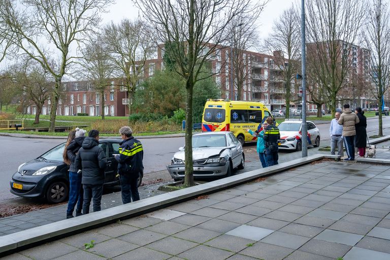 De automobilist verloor door nog onbekende oorzaak de macht over het stuur in de Rijzertlaan in Den Bosch (foto: Iwan van Dun/SQ Vision).