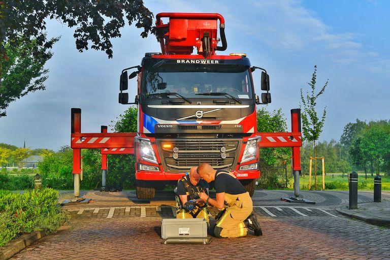 Brandweer knipt kauw uit de boom (foto: Rico Vogels/SQ Vision).