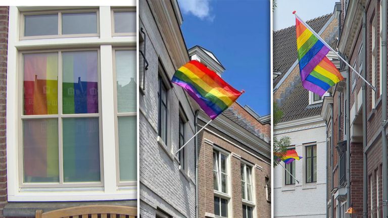 De verschillende vlaggen in de Helmondse wijk Brandevoort (Foto: Omroep Brabant).