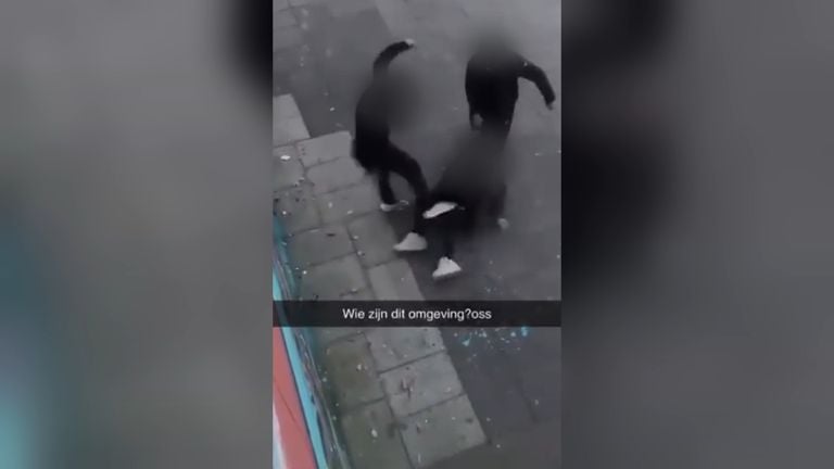 De jongen werd onder meer tegen zijn hoofd getrapt in Oss (foto: archief).