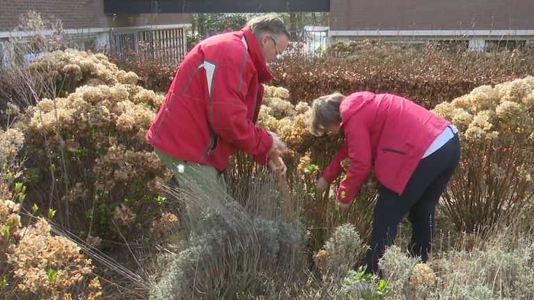 Buurtbewoners graven planten uit.