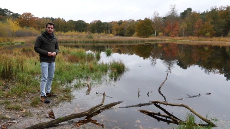 Een van de pareltjes: de Stratumse Heide.