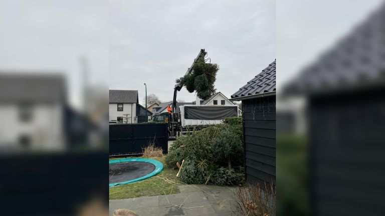 De bizarre hoeveelheid bomen (foto: Kevin van Oort).