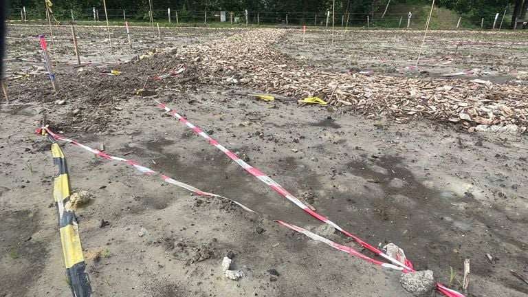 In juni spoelde de regen alle net gezaaide bloemen weg 