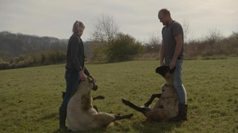 Sander en Janine tijdens het werk op haar schapenboerderij