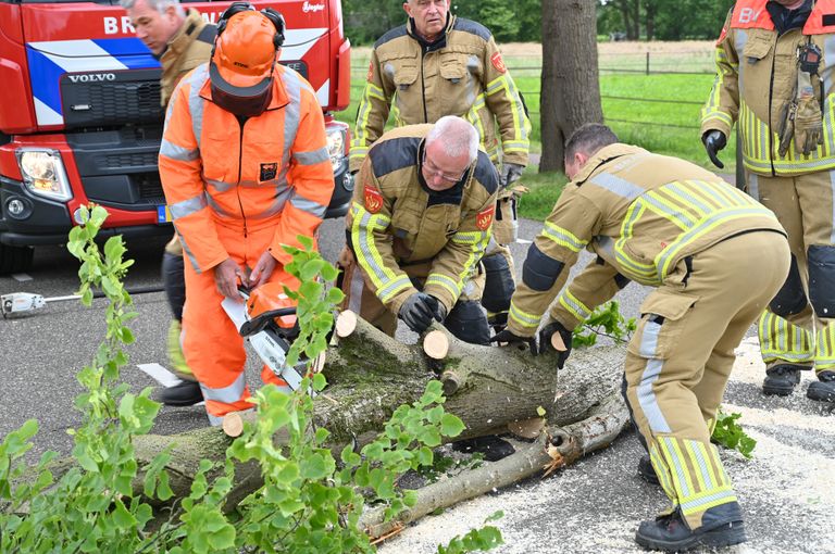 Grote omgewaaide boom versperd de weg (foto: Perry Roovers/SQ Vision).