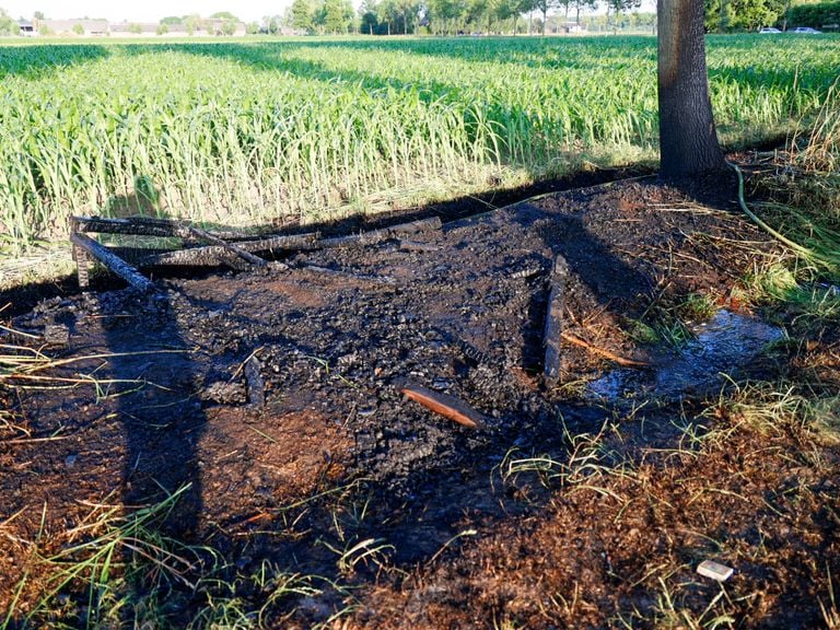 Een deel van de afgebrande berm (foto: Addy Smits/Persbureau Heitink).