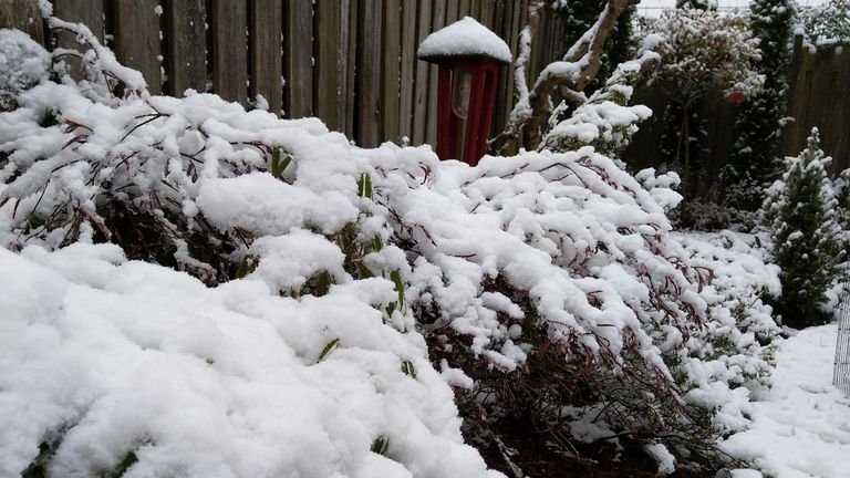  In Berlicum is rond de drie centimeter sneeuw gevallen(foto: Gerard van Dijck).