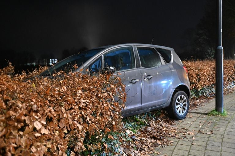 Auto in bosjes (foto: Perry Roovers/SQ Vision).