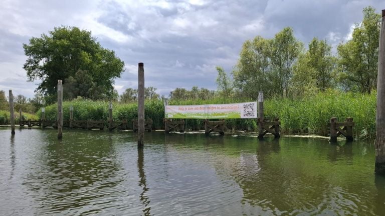 De aanlegsteiger bij de Benedenste Jannezand in de Biesbosch is aan vervanging toe (foto: Stichting Biesbosch Vaantje)