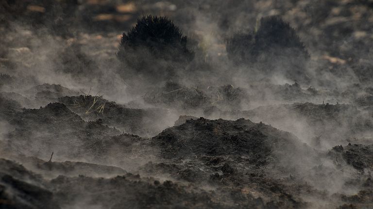 De grond in de Peel is nog gloeiend heet (foto: Alice van der Plas).