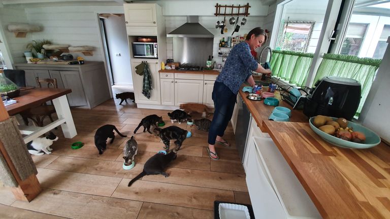 Arianne heeft 26 gehandicapte katten in huis. (Foto: Collin Beijk)