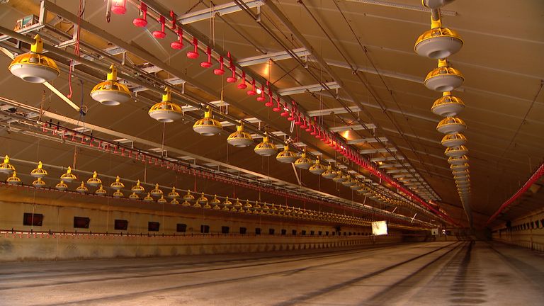 Een van de lege stallen van Ronny (foto: Omroep Brabant)