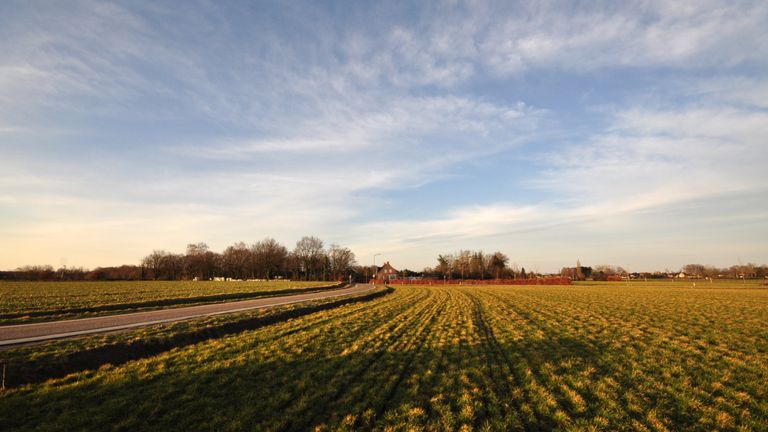 Een prachtige lentedag in Budel (foto: Ben Saanen)