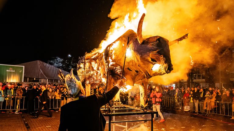 Met de verbranding van de os  eindigt het carnaval in Ossekoppenrijk (foto: EYE4images).