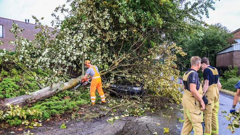 Boom komt op auto terecht in Beek en Donk (foto: Harrie Grijseels/SQ Vision) 