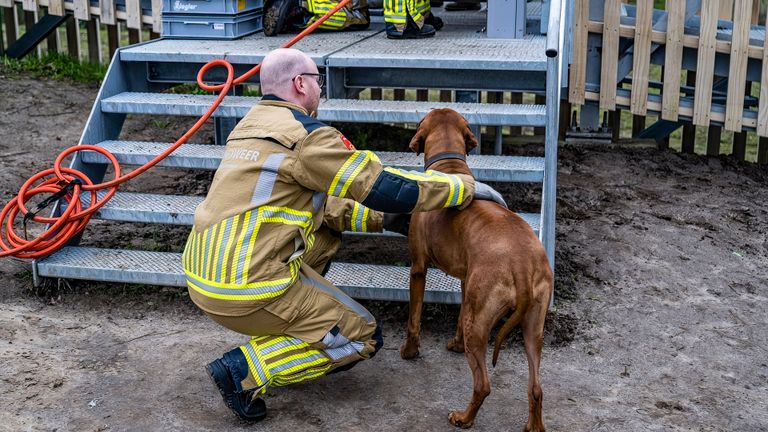 De hond was bij het 'draaideur-avontuur' niet gewond geraakt (foto: Jack Brekelmans/SQ Vision).