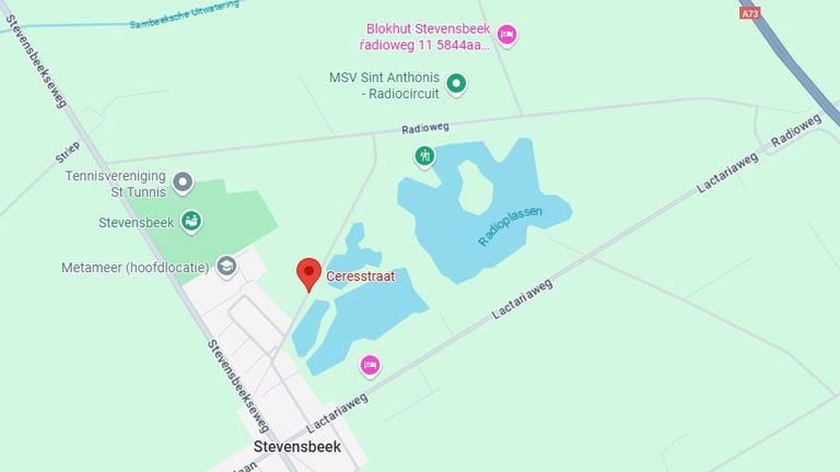 De zwemmer kwam in nood toen hij alleen ging zwemmen in de Radioplassen (beeld: Google Maps).