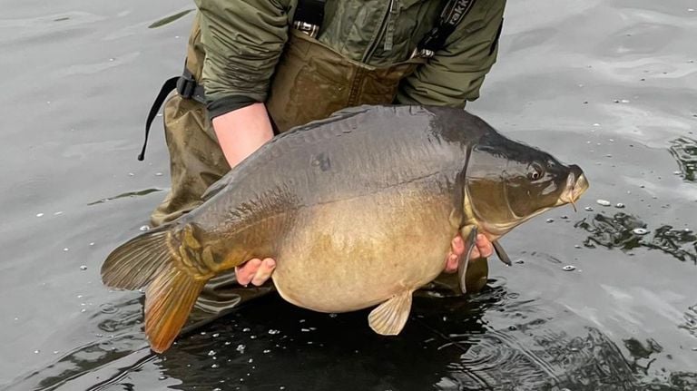 Een van de vissen die Patrick ooit ving in de Karpendonkse Plas (foto: Patrick Lodewijks).