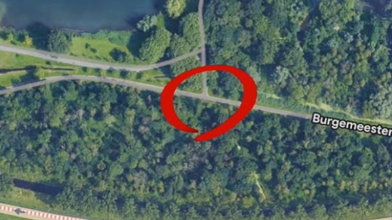 Op deze kruising werd de hardloopster aangerand (foto: Google Maps / Politie Den Bosch).