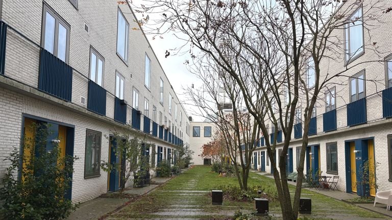 Het straatje op dertig meter hoogte (foto: Rogier van Son).