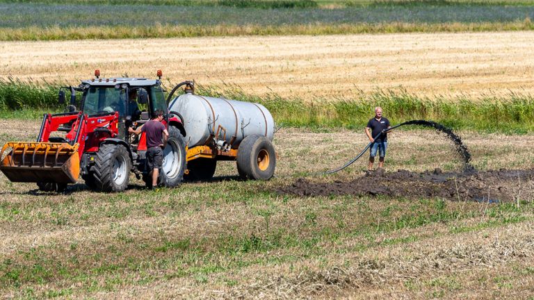 Werkt prima (foto: Iwan van Dun/SQ Vision).