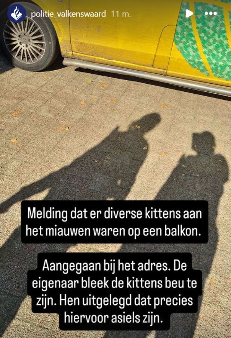 Foto: Instagram politie Valkenswaard