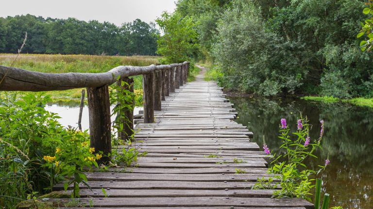 Een wandelbrug in De Pannenhoef (foto: Ria Mol/Toeristisch Informatiepunt Etten-Leur).