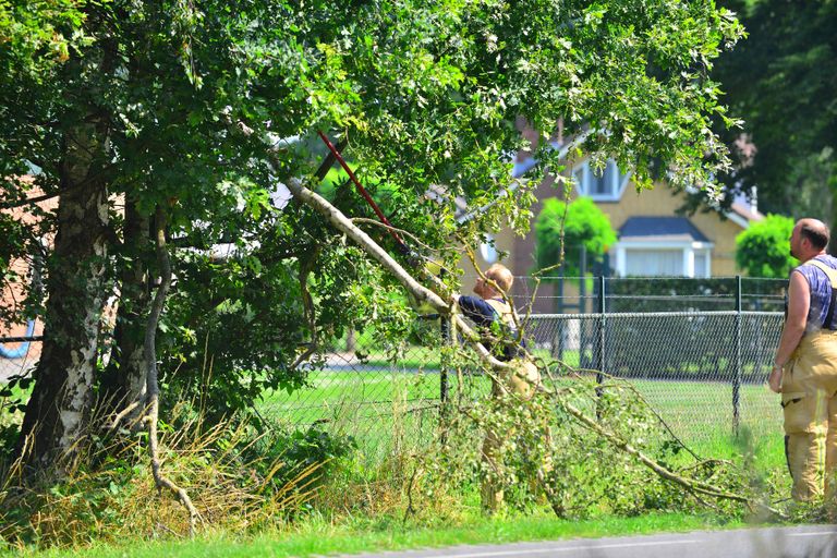 De afgebroken tak hing in een onoverzichtelijke bocht over de weg (foto: Johan Bloemers/SQ Vision).