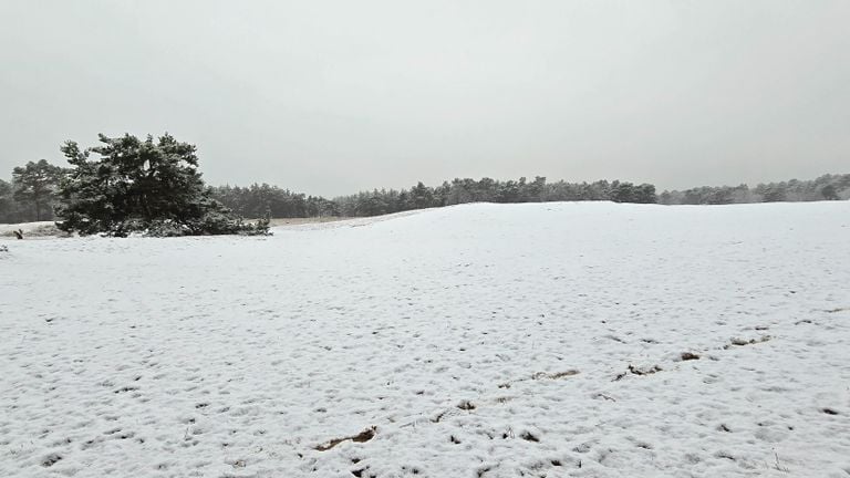 De Drunense Duinen kleurden wit (foto: Jill Emmerling). 