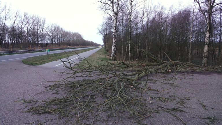 In Budel liggen takken op de weg door storm Eunice