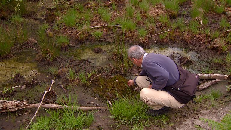 Wim van Opbergen bij een stukje veenmos in de Deurnsche Peel